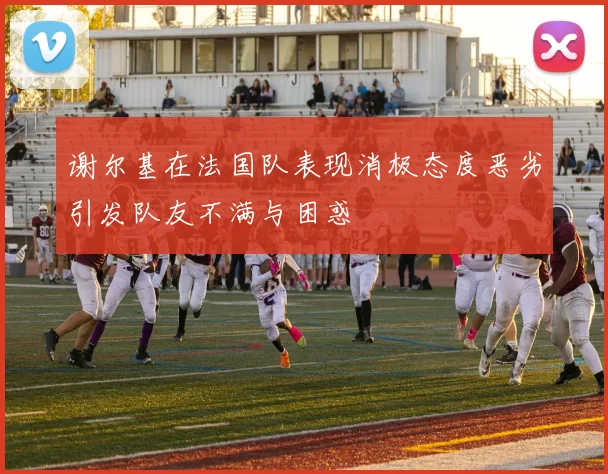 谢尔基在法国队表现消极态度恶劣引发队友不满与困惑