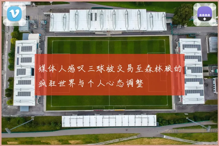 媒体人感叹三球被交易至森林狼的疯狂世界与个人心态调整