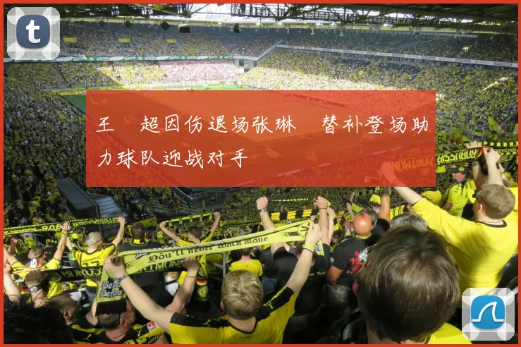 王燊超因伤退场张琳芃替补登场助力球队迎战对手